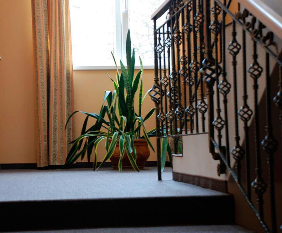 D'Angelo Hotel - Prague — Photos 1